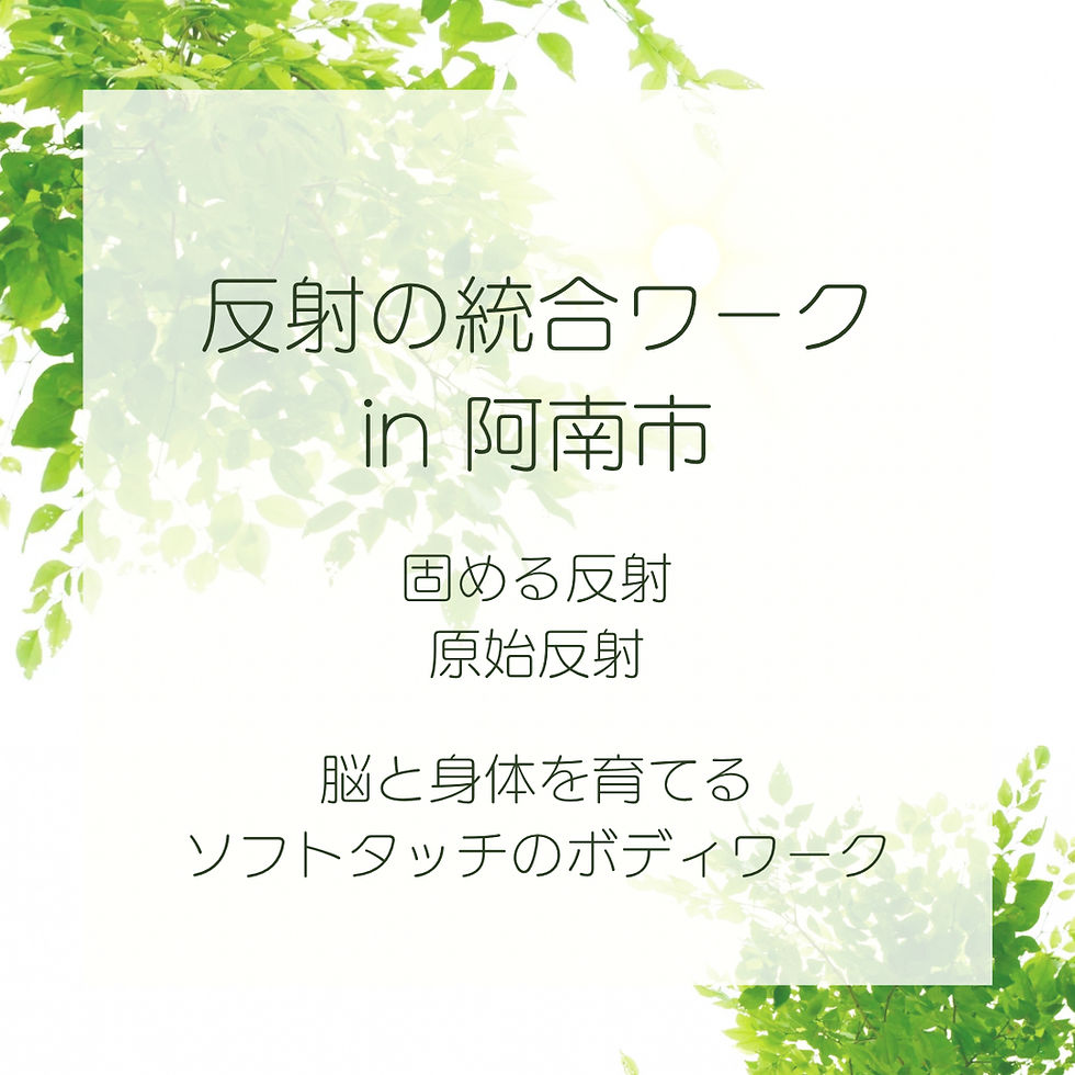 阿南出張 反射の統合ワーク
