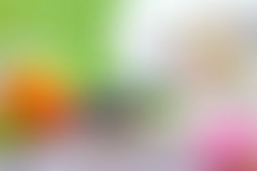 お盆によせて-「自分」と「先祖」の関係