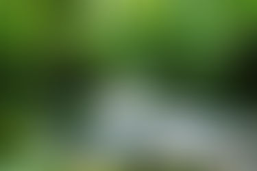 『コツコツの力』-日本の神様からのメッセージ
