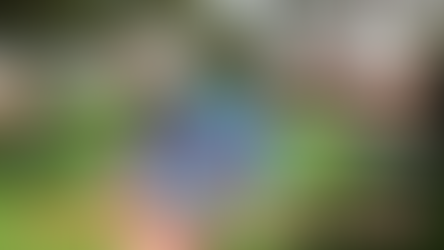 API BECI โรงเรียนสอนภาษาอังกฤษ ณ เมืองบาเกียว ประเทศฟิลิปปินส์