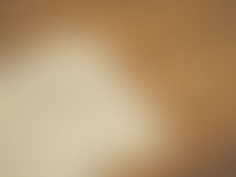 Monthly Q&A: January 2021