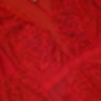 Thumbnail: Red Lacey Bodysuit
