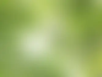 Lughnasadh Reflections: Gathering What’s Ripe, Letting Go of What’s Not