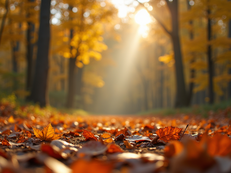 Aligning with the Wheel of the Year: Embracing Seasons, Moon Phases, and Our Connection to Gaia