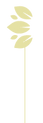 separateur-lateral.png