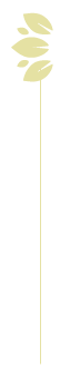 separateur-lateral.png