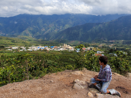 Colombia: the ELN Announces a Ceasefire in the Context of the COVID-19 Spread