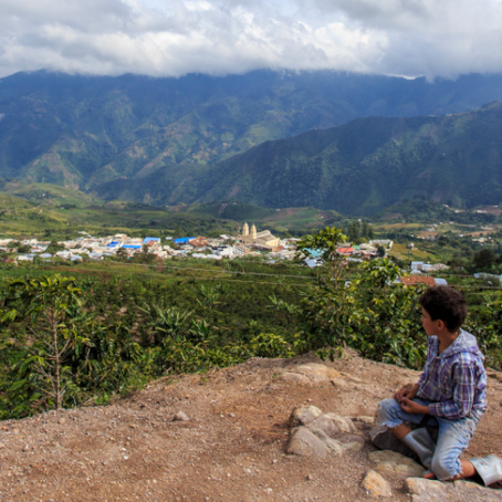 Colombia: the ELN Announces a Ceasefire in the Context of the COVID-19 Spread