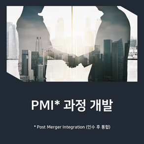 PMI(Post Merger Integration)과정 개발