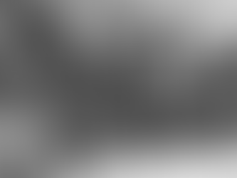 Subjectivity and Agency: Pioneering Blues Women of the Harlem Renaissance