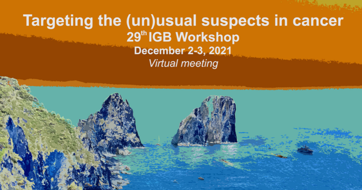 Presentations at Workshop of the Institute of Genetics and Biophysics "A. Buzzati Traverso" 