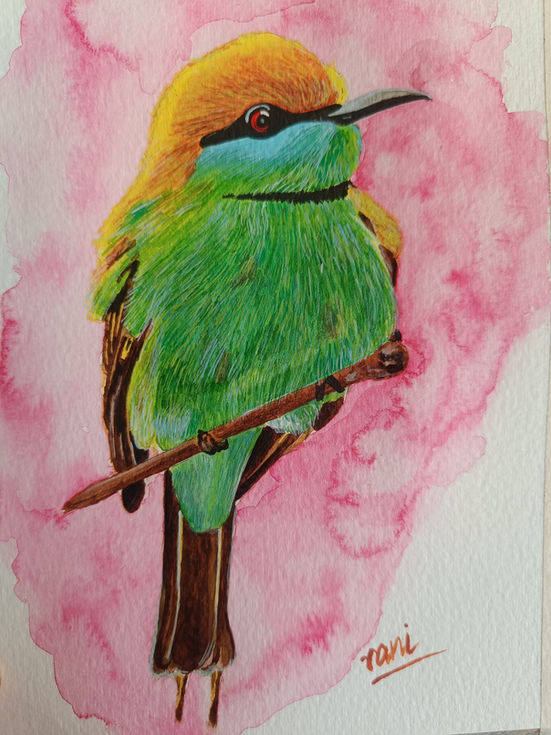 Bee eater
