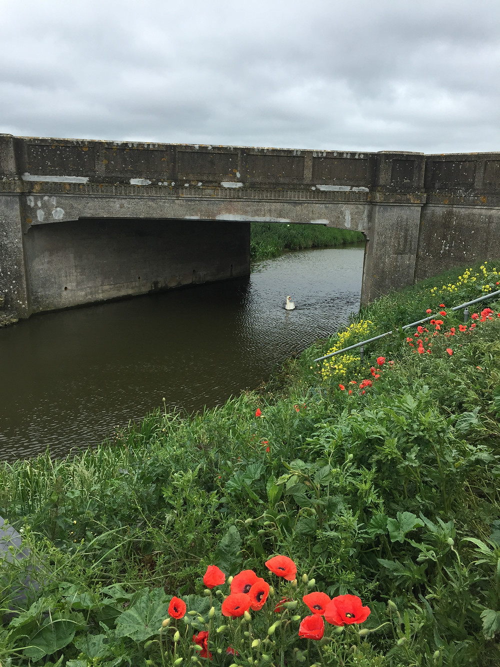 Angle Tree Bridge