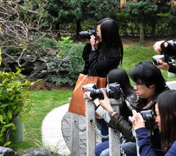 64628_10150602110043178_554208177_9479528_488055444_n