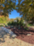 PXL_20241021_152553797