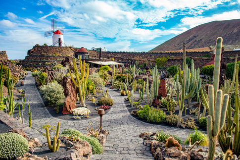 cactus garden jardin de cactus lanzarote spain