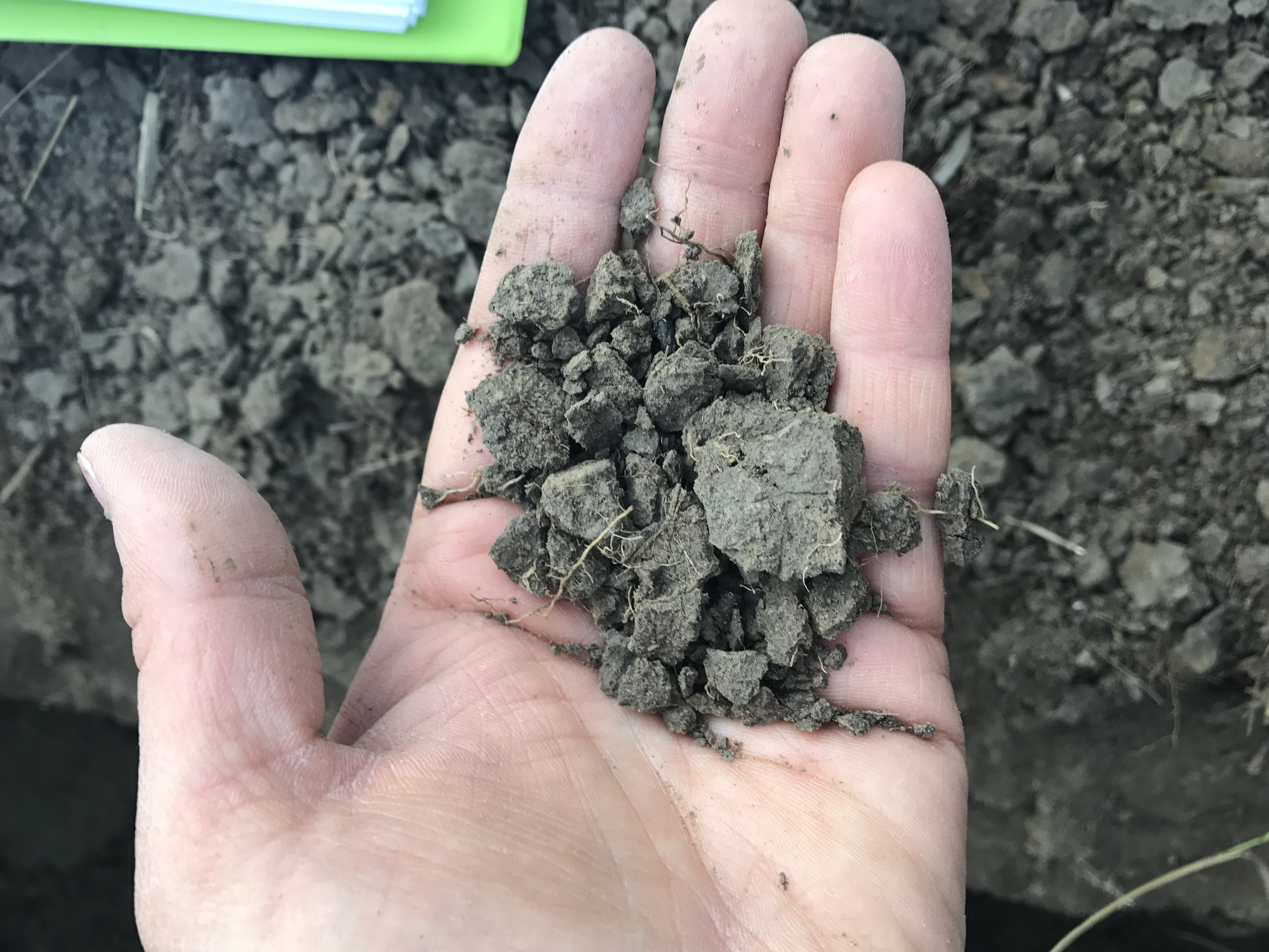 Determining soil texture by hand during a site evaluation