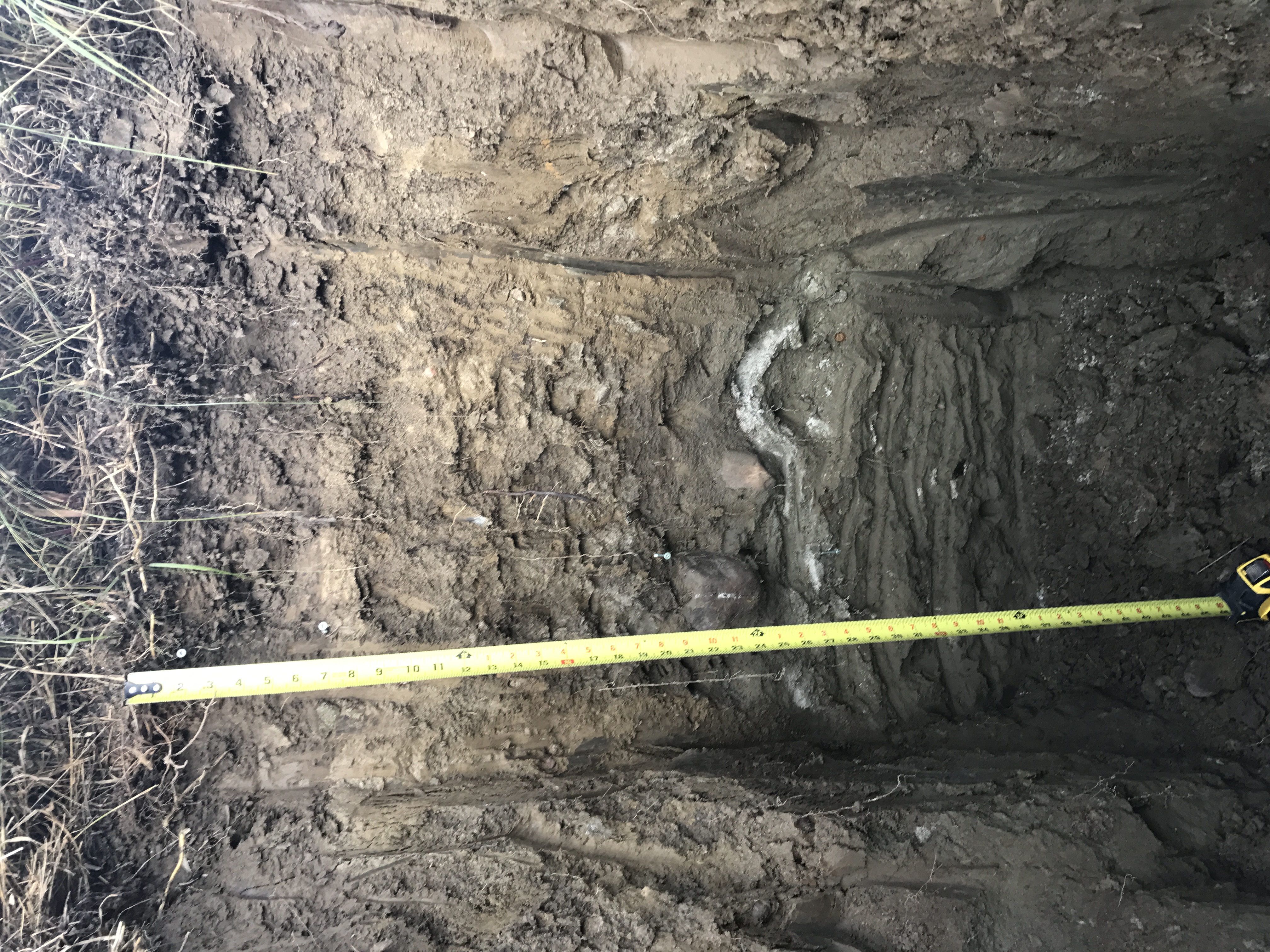 Identifying soil horizons in a test pit
