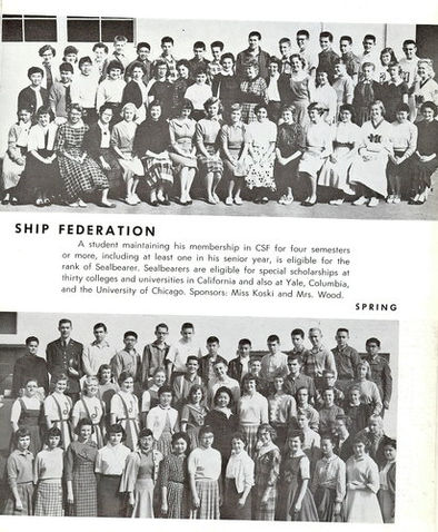 scan0006nug_csf_sp_413x500.jpg
