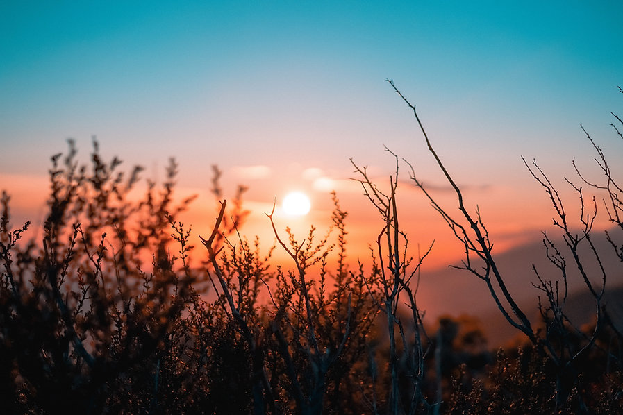 oc-gonzalez-xg8z_KhSorQ-unsplash.jpeg