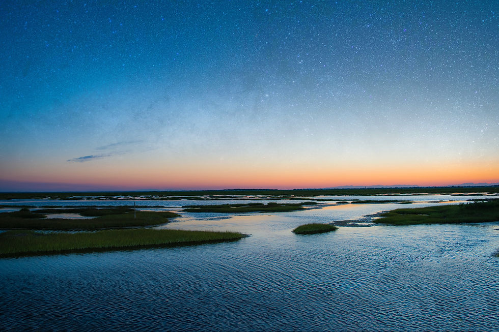 troy-taylor-x6W7uXDbe_E-unsplash.jpeg