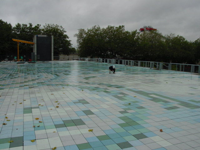 DSC00603