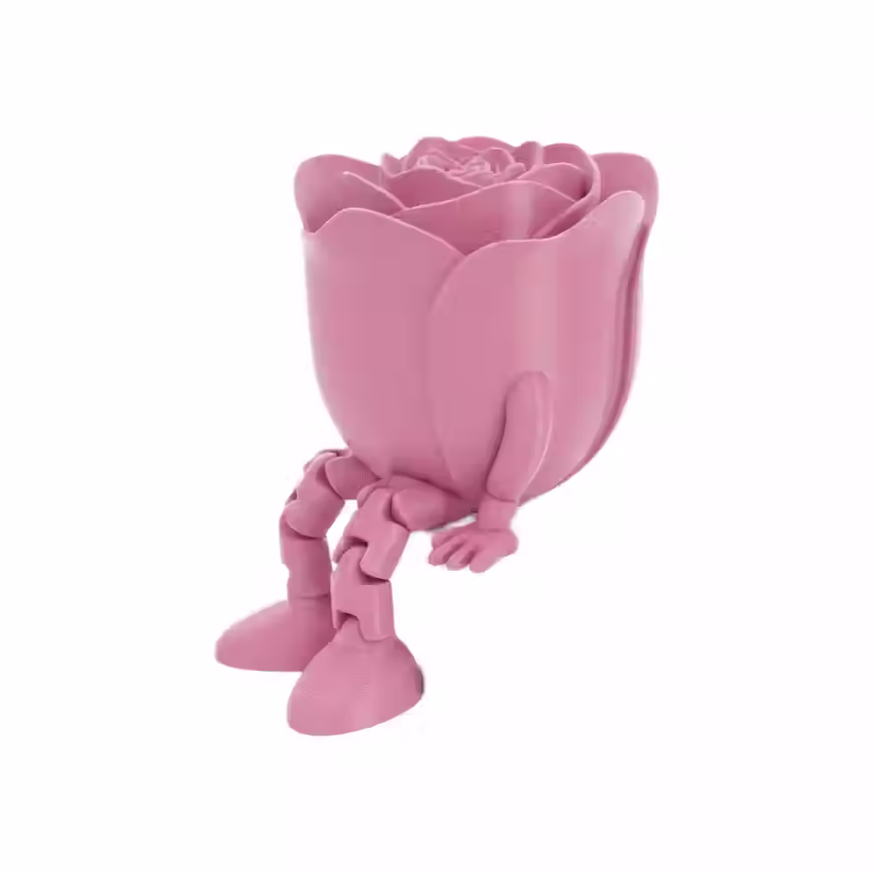 Rosa Articulada (7).avif