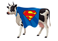 SUPERCOW-01(1).png