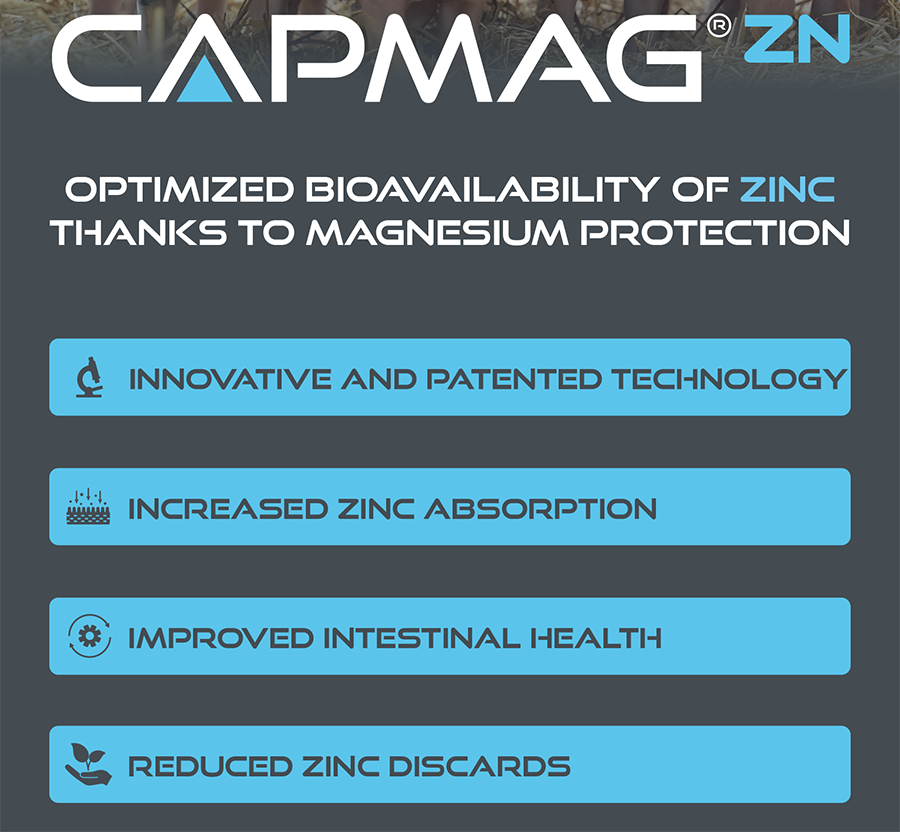 Commercial Flyer CAPMAG page one small for web.png
