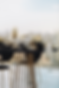 F41A6138.png
