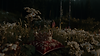 Web background_1.png