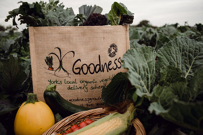 Goodness Veg bags.jpg