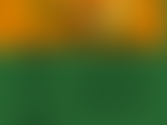 Curried Pumpkin Soup 