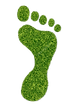 Carbon Footprints