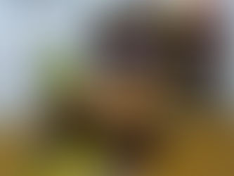 Struktura tek femijet me autizem