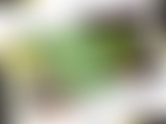 Vlerësim falas nëse dyshoni që fëmija ka shenja të autizmit