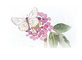 butterflies-background2.png