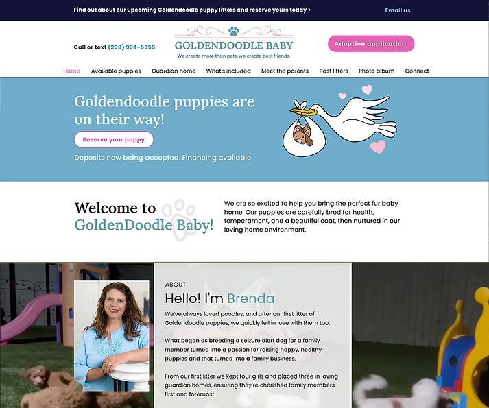 Goldendoodle Baby Homepage