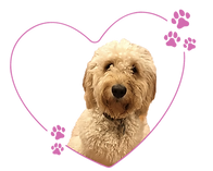 rosey-heart.png