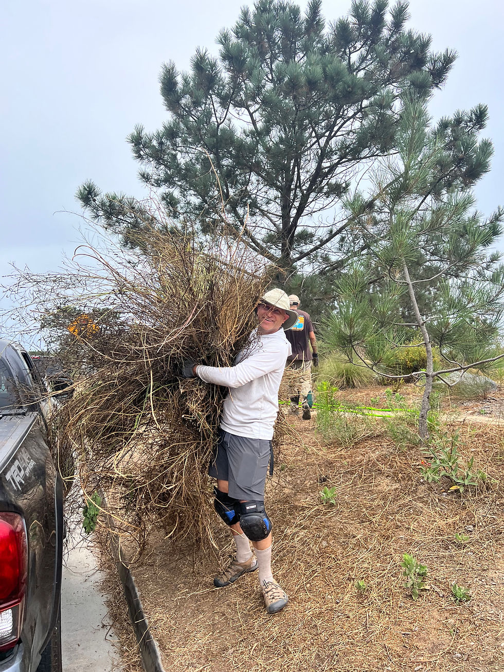 Spontaneous Clean Up