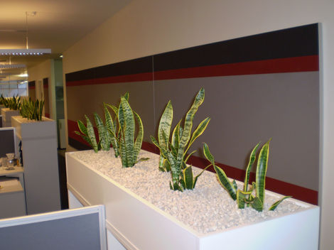 Tanner Architects - 14.02.09 001