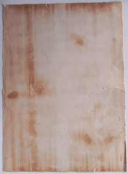 Menina com cachorros