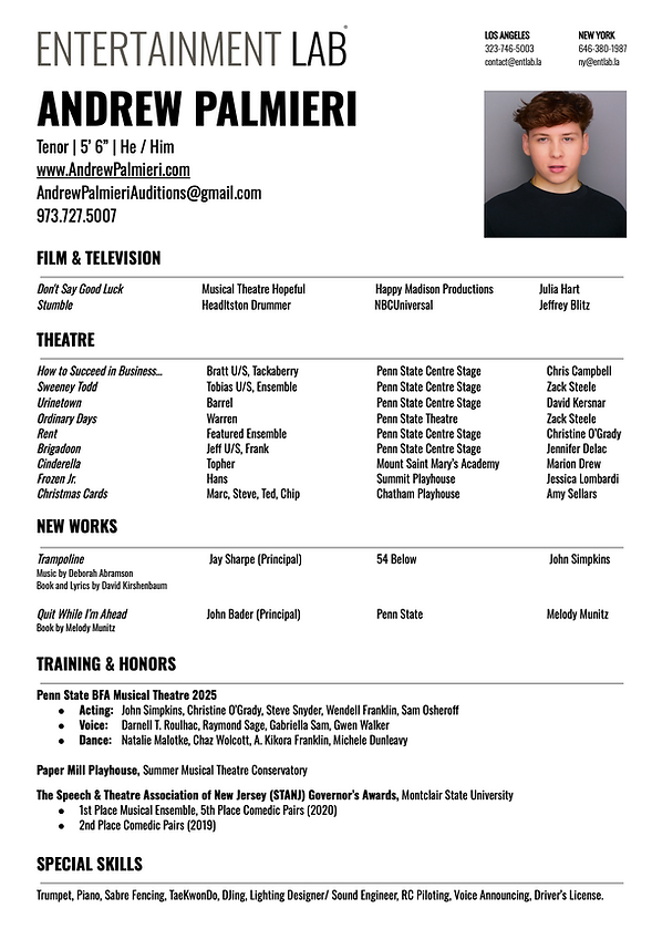 Andrew Palmieri Resume Image.png