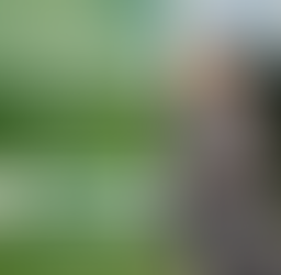 Finding the power to be yourself at work with Belbin