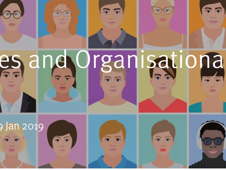 Team Roles and Organisational Culture