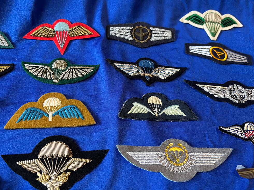 Thumbnail: Collection of wings (G903)