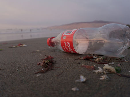 Coca-Cola: Failed commitments