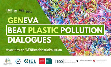 GENEVA  BEAT PLASTIC POLLUTION  DIALOGUES (complicated topic that needs clarifying)