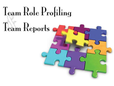 Belbin Team Role Profiling and Team Reports
