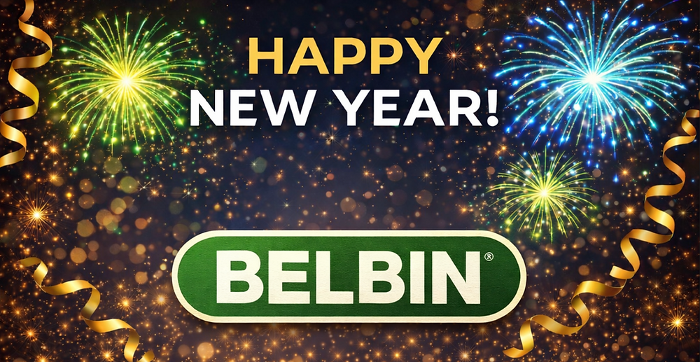 Buelbin A Belbin Team Role Guide to New Year's Resolutions